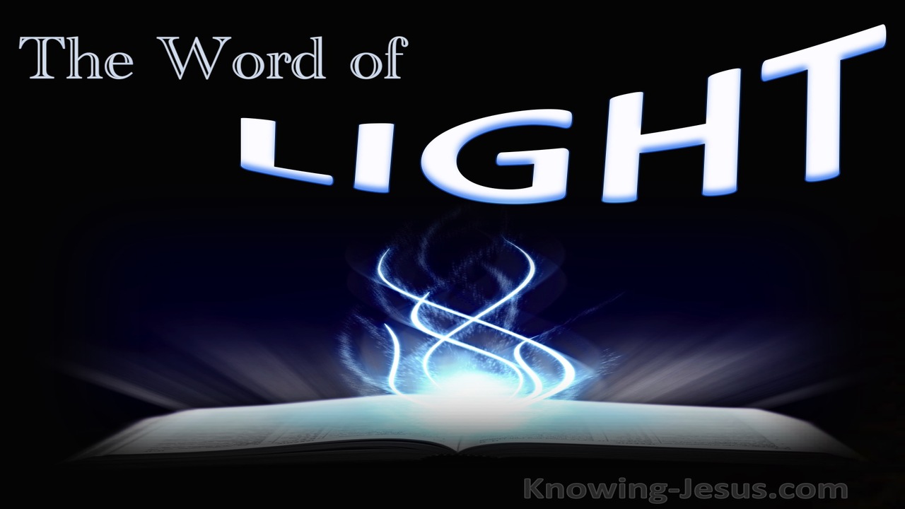 The Word Of Light (devotional)03-20 (navy)